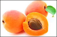 stories/2107/images/Apricots.jpg